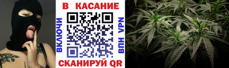Где купить наркотики Вязники Cocaine  Псилоцибиновые грибы  АМФЕТАМИН  ГАШ  МЕФ  A-PVP  Марихуана 