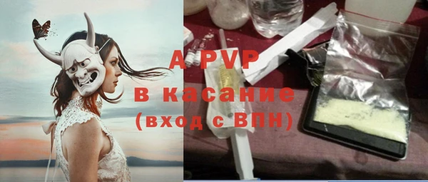 хмурый Белокуриха