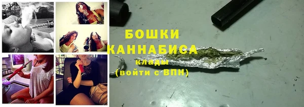 хмурый Белокуриха