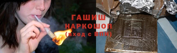 хмурый Белокуриха