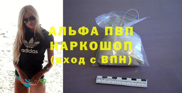 хмурый Белокуриха