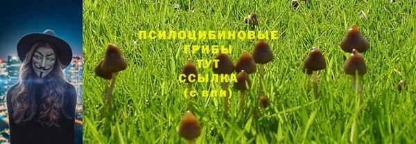 a pvp Беломорск