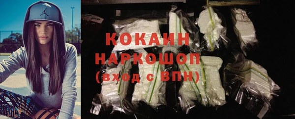 хмурый Белокуриха