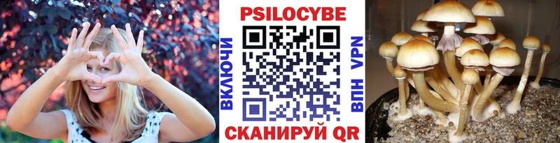 Галлюциногенные грибы ЛСД где найти наркотики ОМГ ОМГ как войти Вязники